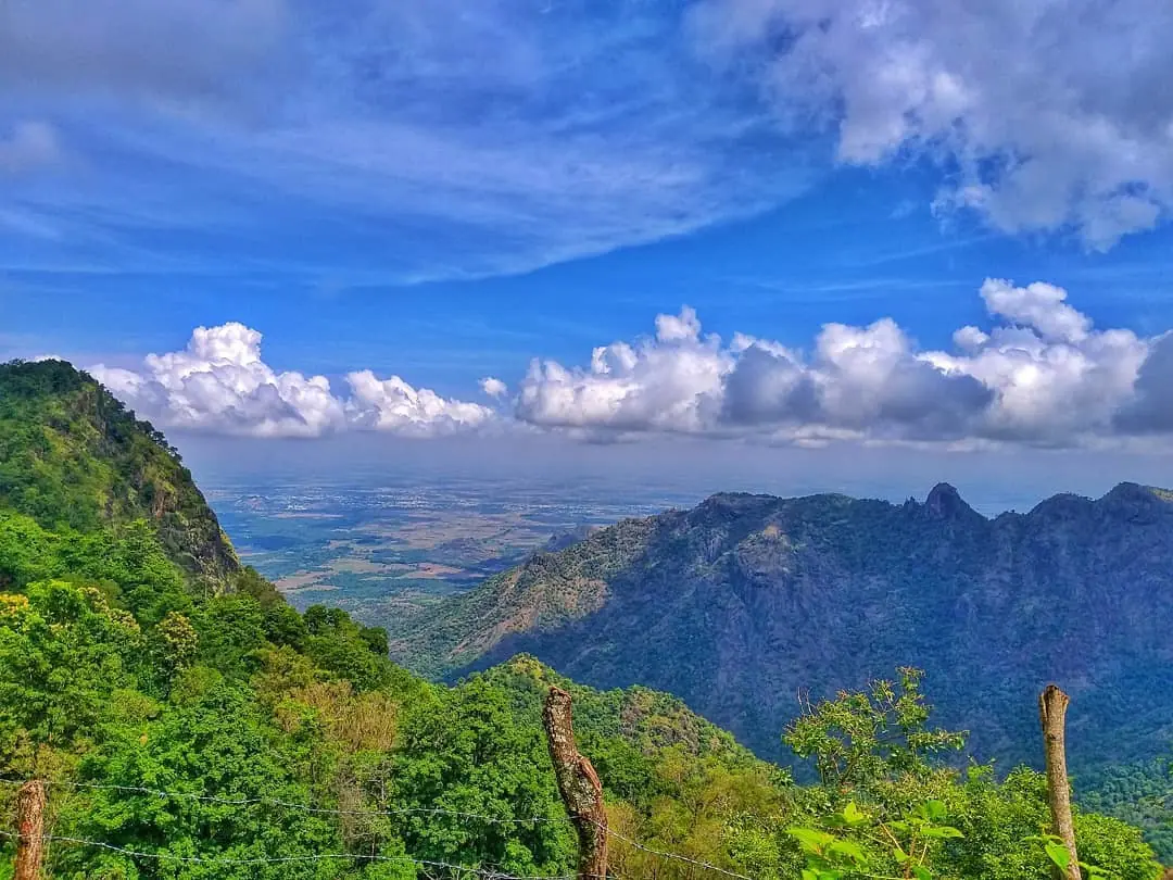 Palani View